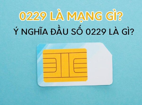 0229 là mạng gì? Ý nghĩa đầu số 0229 có mang đến may mắn?