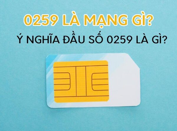 0259 là mạng gì? Ý nghĩa của đầu số 0259 có mang đến tài lộc?