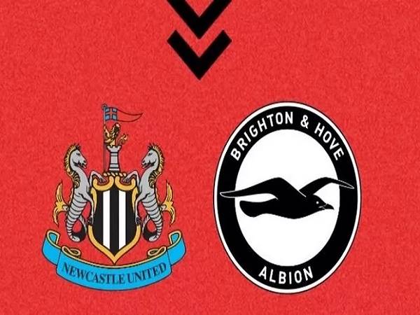 Tip kèo Newcastle vs Brighton – 01h30 19/05, Ngoại hạng Anh