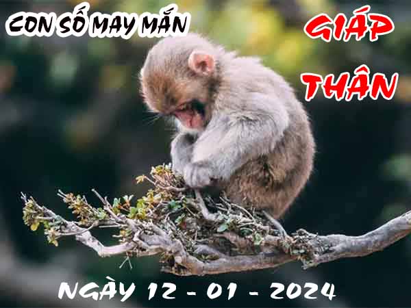 Nhận định con số may mắn tuổi Giáp Thân ngày 12/1/2024