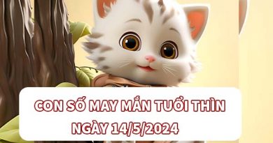 Phân tích con số may mắn tuổi Thìn ngày 14/5/2024 thứ 3 hôm nay