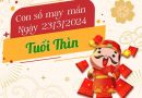 Con số may mắn tuổi Thìn hôm nay ngày 23/5/2024