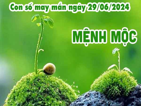 Nhận định con số may mắn người mệnh Mộc ngày 29/6/2024 hôm nay