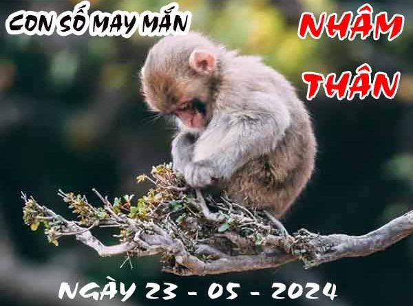 Nhận định con số may mắn tuổi Nhâm Thân ngày 23/6/2024 hôm nay