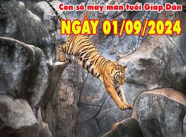 Thông tin con số may mắn tuổi Giáp Dần ngày 1/9/2024 chủ nhật hôm nay