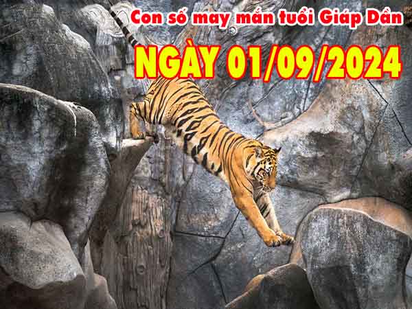 Thông tin con số may mắn tuổi Giáp Dần ngày 1/9/2024 chủ nhật hôm nay