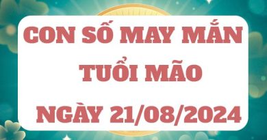 Con số may mắn tuổi Mão ngày 21/8/2024 thứ 4 hôm nay