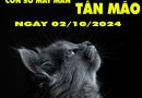 Con số may mắn tuổi Tân Mão ngày 2/10/2024 thứ 4 hôm nay