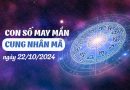 Chi tiết con số đón lộc vàng của cung Nhân Mã ngày 22/10/2024